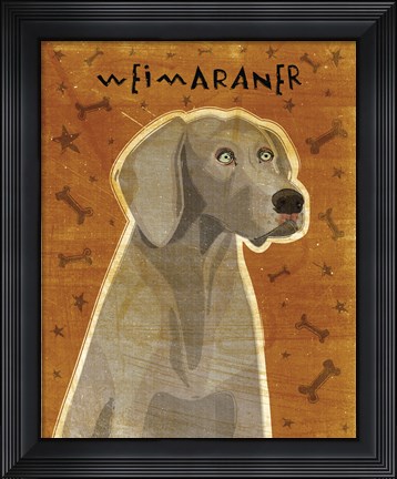 Framed Weimaraner Print