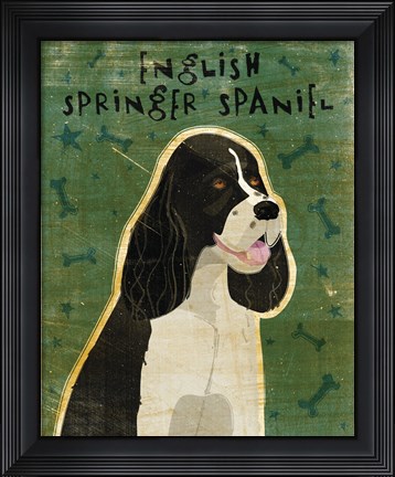 Framed English Springer Spaniel (black and white) Print