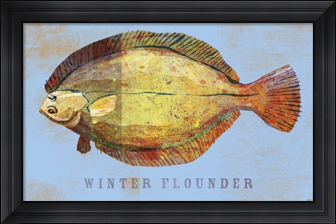 Framed Winter Flounder Print