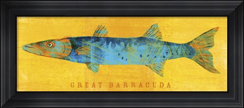 Framed Great Barracuda Print