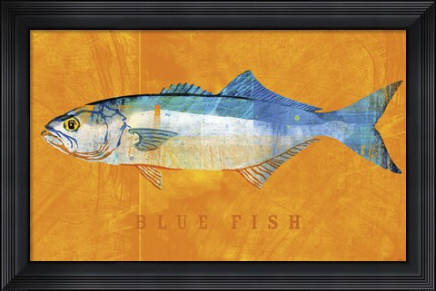 Framed Bluefish Print