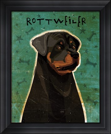 Framed Rottweiler Print