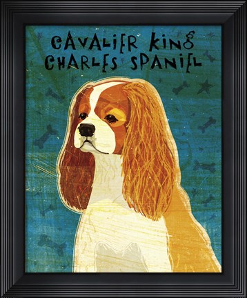 Framed Cavalier King Charles (Blenheim) Print