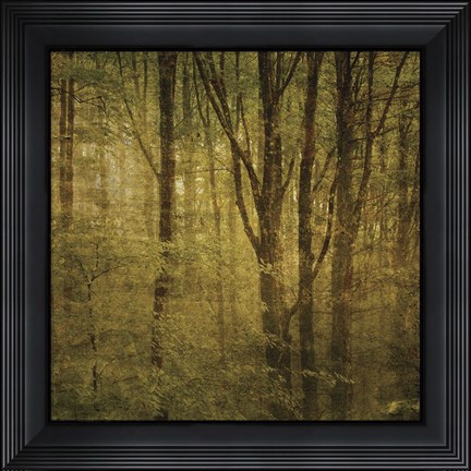 Framed Fog in Mountain Trees No. 2 Print