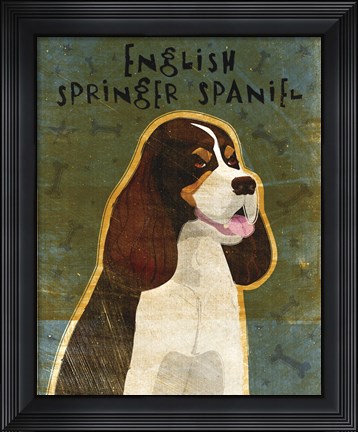 Framed English Springer Spaniel (tri-color) Print