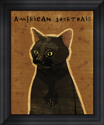 Framed American Shorthair Print