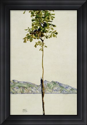 Framed Horse Chestnut Tree, Lake Constance. 1912 Print