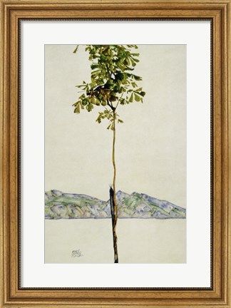 Framed Horse Chestnut Tree, Lake Constance. 1912 Print