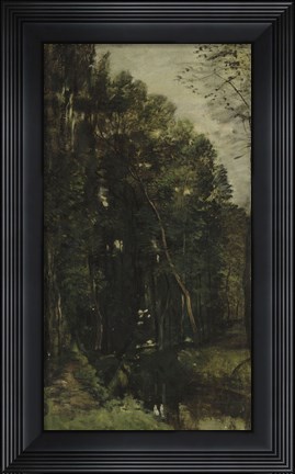 Framed Forest And Brook Print