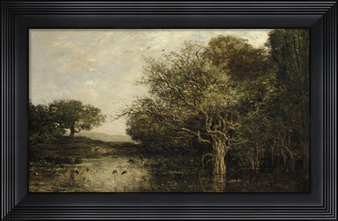 Framed Pond With Herons Print