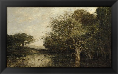 Framed Pond With Herons Print