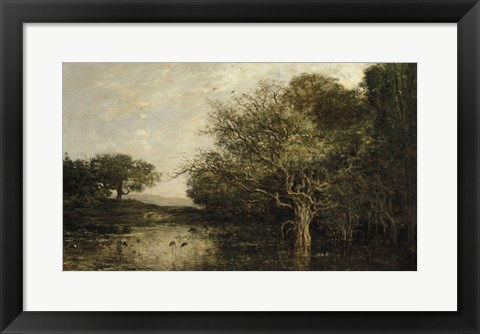 Framed Pond With Herons Print