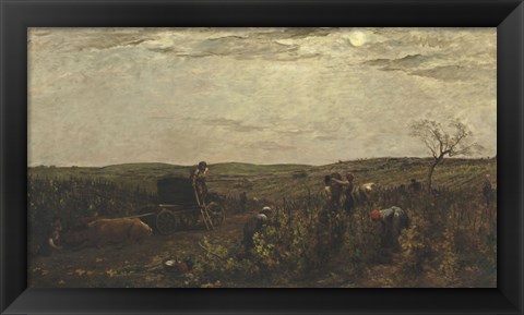 Framed Wine Harvest In Burgundy, 1863 Print