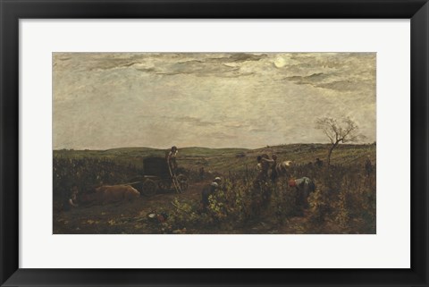 Framed Wine Harvest In Burgundy, 1863 Print