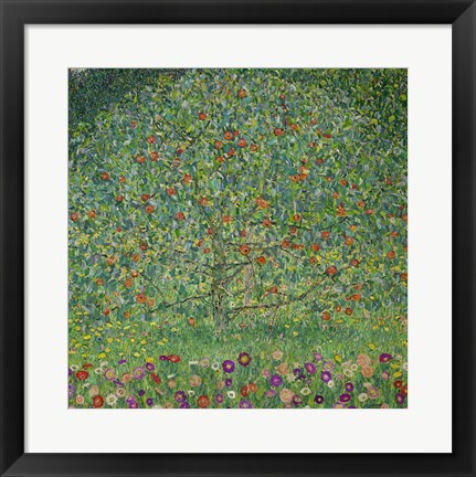 Framed Apple Tree  I, 1912 Print