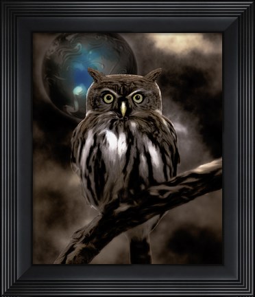 Framed Night Owl Print