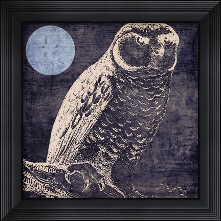 Framed Owl 1 Print