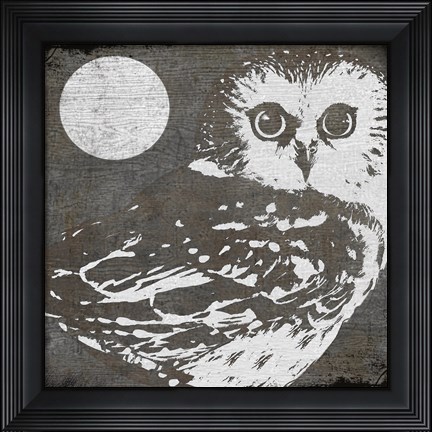 Framed Owl 3 Print