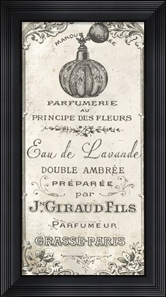 Framed Signes Francais II Print