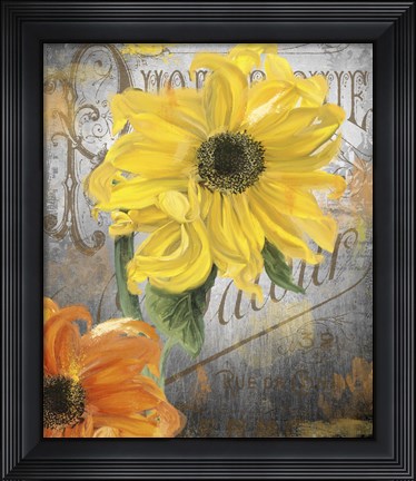 Framed Sunflower Studio Print