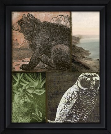 Framed Cabela III Print