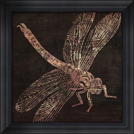 Framed Dragonfly Print