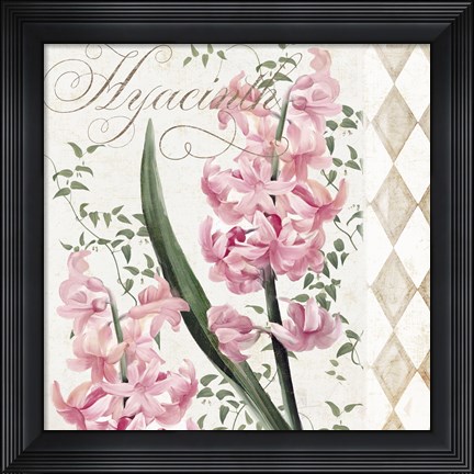 Framed Hyacinth I Print