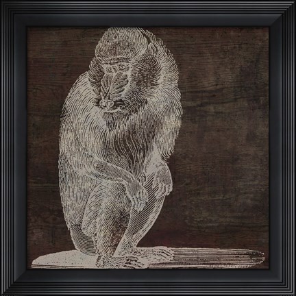 Framed Monkey Print