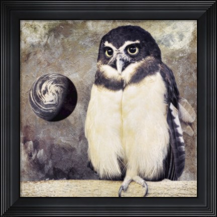 Framed Moon Owl Print