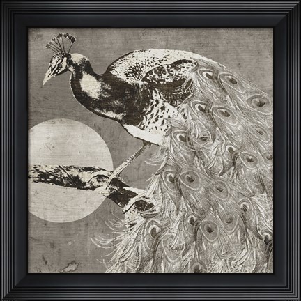 Framed Moon Peacock Print