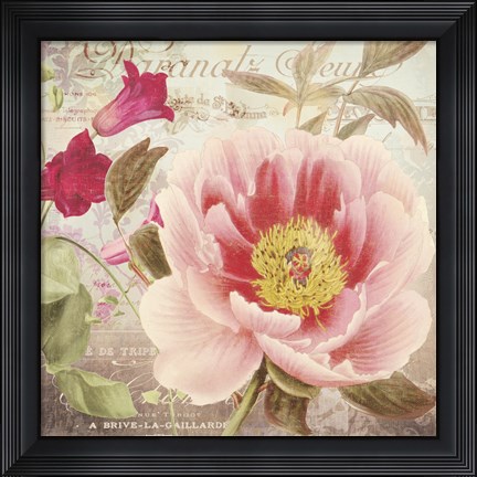 Framed Aphrodite I Print