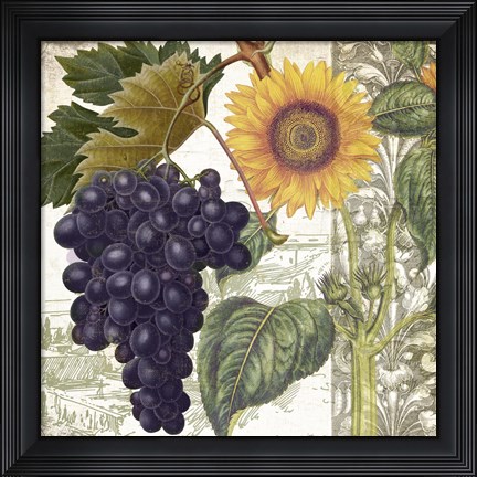 Framed Dolcetto I Print