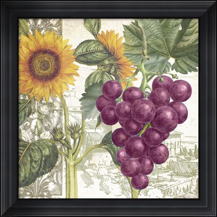 Framed Dolcetto II Print