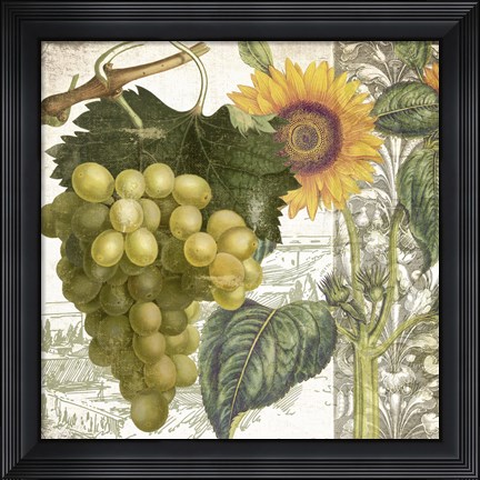 Framed Dolcetto III Print
