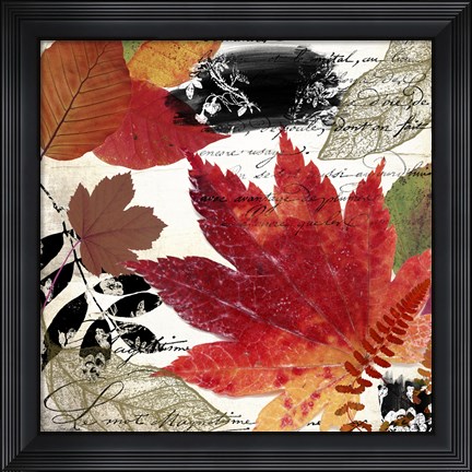 Framed Equinox I Print