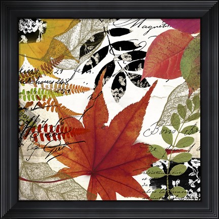 Framed Equinox II Print