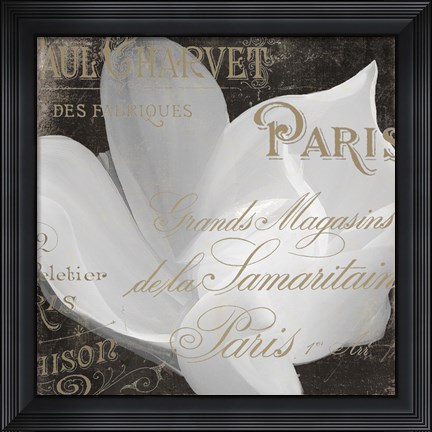 Framed Fleurs Blanc II Print