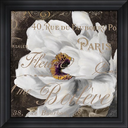 Framed Fleurs Blanc III Print