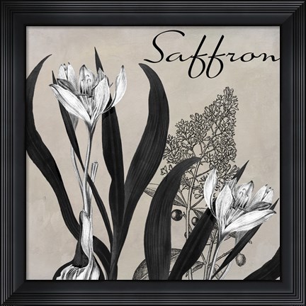 Framed Flowering Herbs I Print