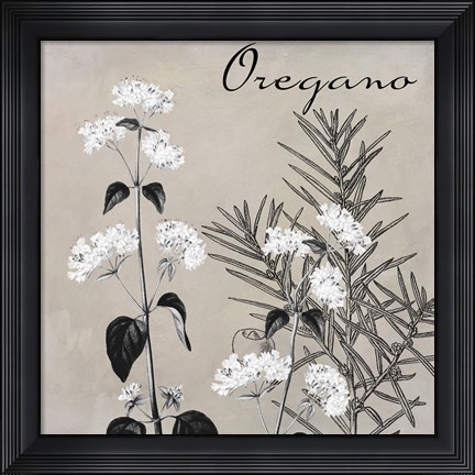 Framed Flowering Herbs II Print
