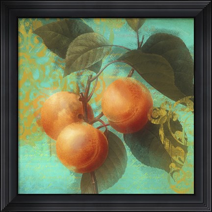 Framed Glowing Fruits II Print