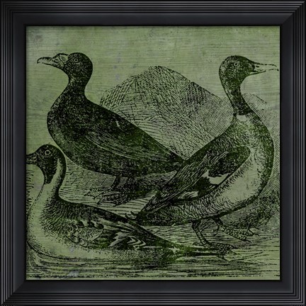 Framed Mallards Print