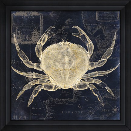 Framed Maritime Blues III Print