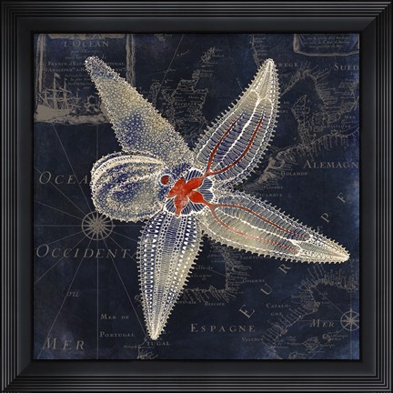 Framed Maritime Blues IV Print