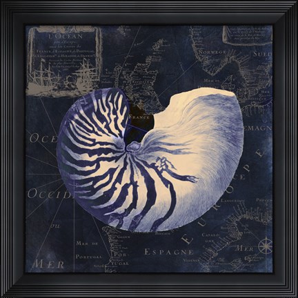 Framed Maritime Blues V Print