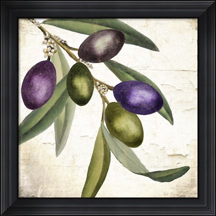 Framed Olive Branch I Print