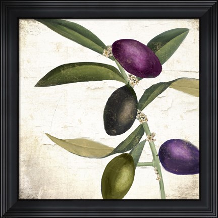 Framed Olive Branch II Print