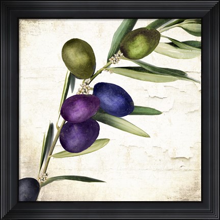 Framed Olive Branch III Print