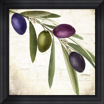 Framed Olive Branch IV Print