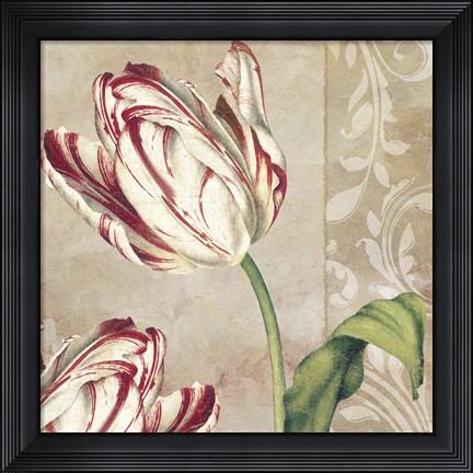 Framed Peppermint Tulips I Print